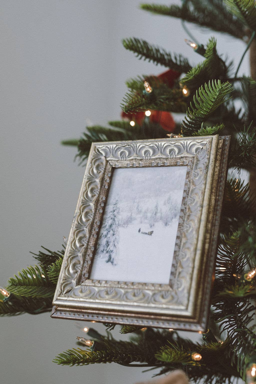 Decor