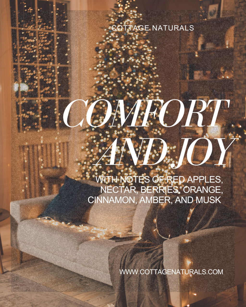 Foaming Hand Soap- 10 oz