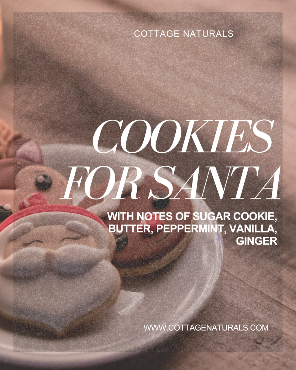 Foaming Hand Soap Refill