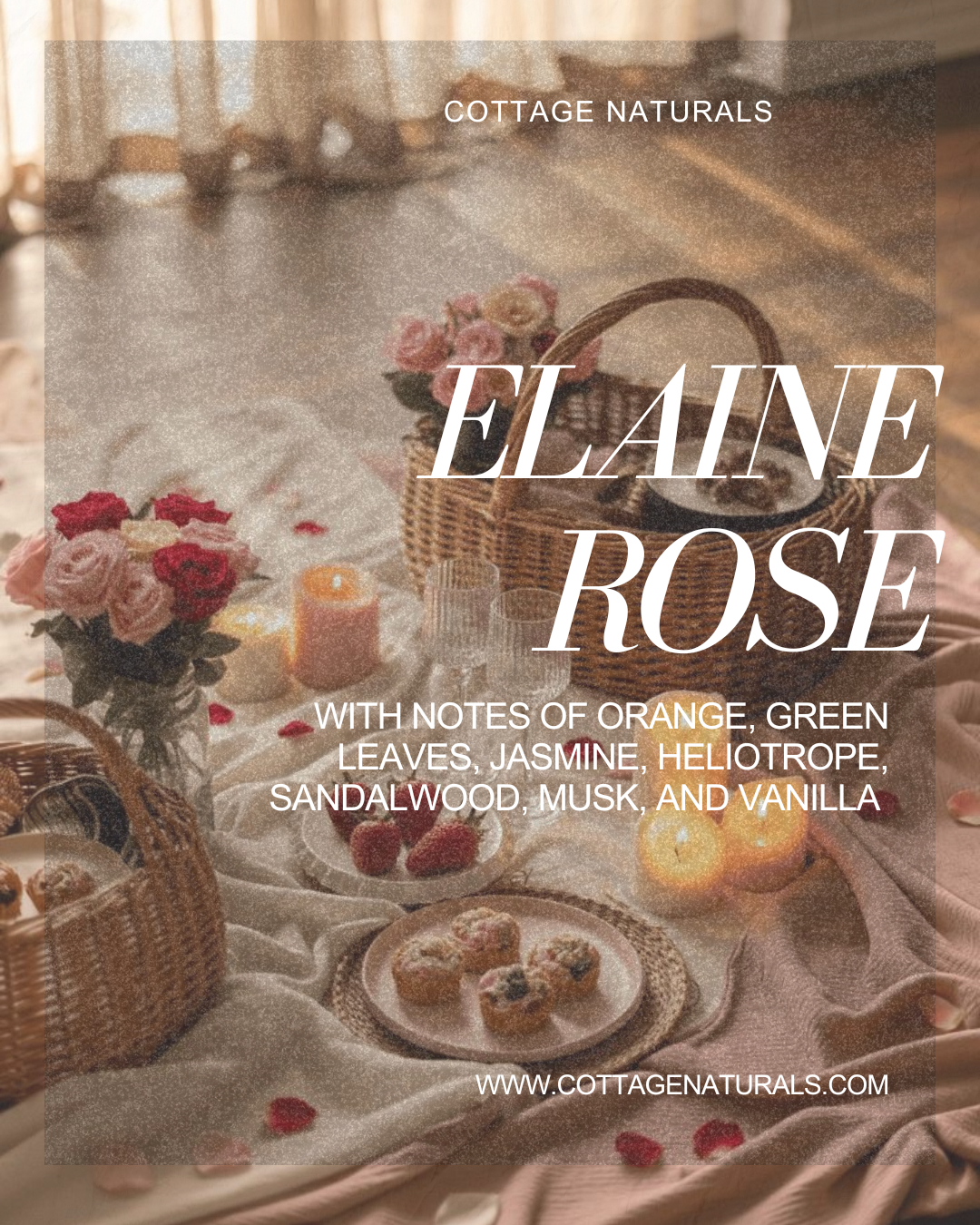 Foaming Hand Soap Refill