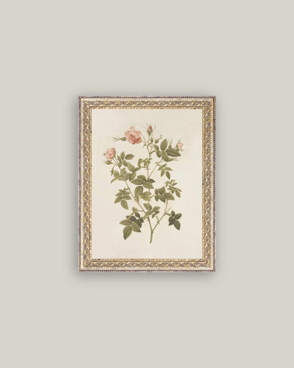 Rosa Framed Antique Art
