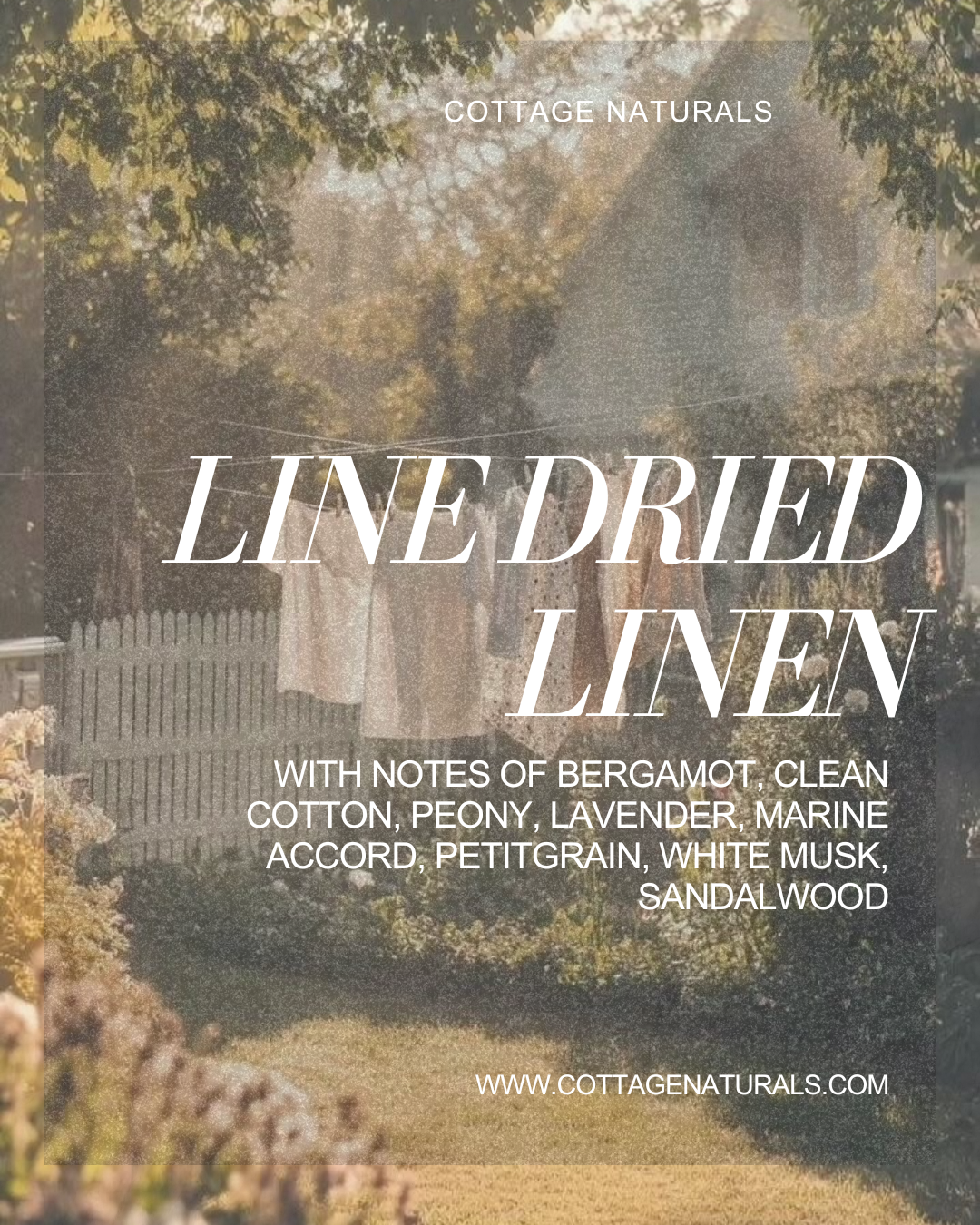 Foaming Hand Soap- 10 oz