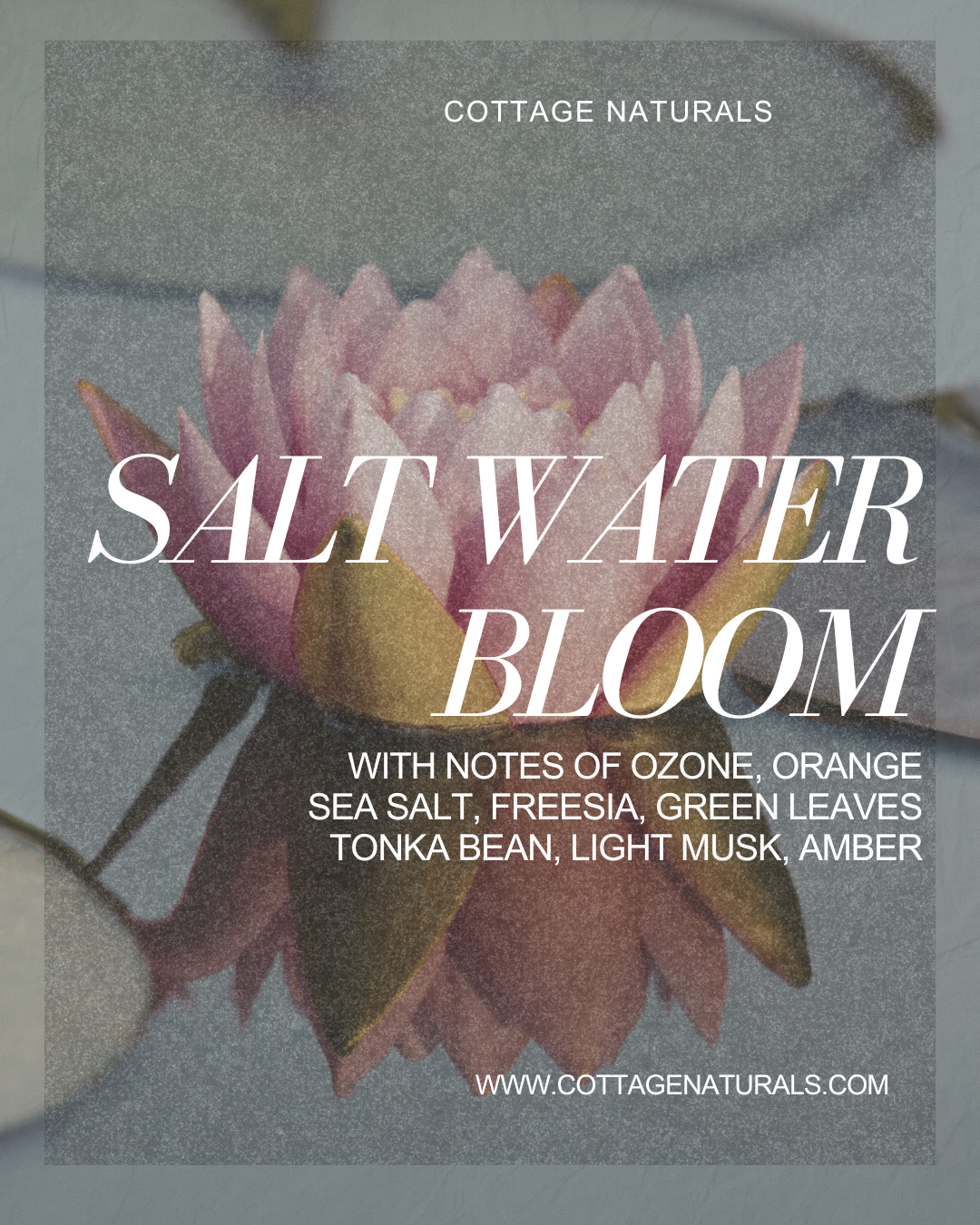 All Purpose Cleaning Spray