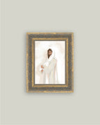 Lamb of Peace